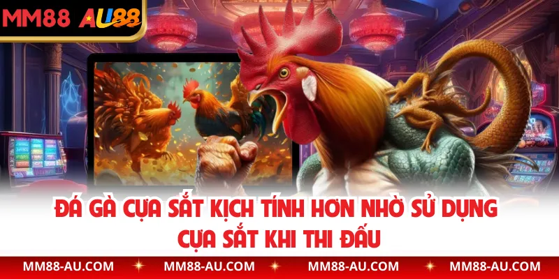 Đá gà cựa sắt kịch tính hơn nhờ sử dụng cựa sắt khi thi đấu